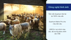 Smart Tivi Neo QLED 8K 65 inch Samsung QA65QN800A Mới 2021