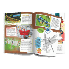 Ấn phẩm Cầu Vồng Tuổi thơ số 16