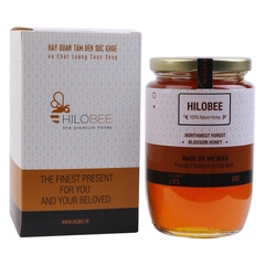 Mật Ong Hoa Rừng Tây Bắc Hilobee (490g)