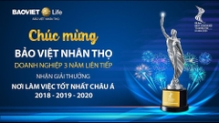 Quản lý kinh doanh cấp cao: Trần Hưng Vượng (Bảo Việt)