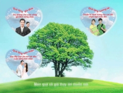 Quản Lý Kinh Doanh: Phan Ngọc Phương Thanh