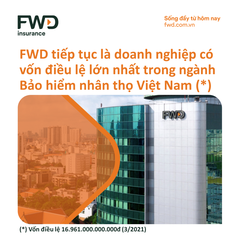 Quản lý kinh doanh cấp cao: Trần Minh Tâm (FWD)