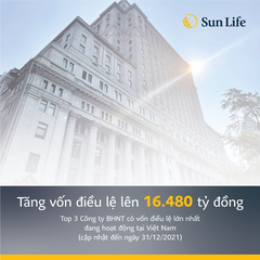 Quản lý kinh doanh cấp cao: Trần Hưng Vượng (SunLife)