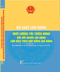 Bộ Luật Lao Động - Mức Lương Tối Thiểu Vùng Đối Với Người Lao Động Làm Việc Theo Hợp Đồng Lao Động