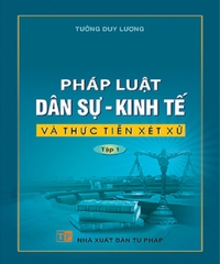 Sách Pháp luật về dân sự - kinh tế và thực tiễn áp dụng (Tưởng Duy Lượng)