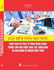 Luật Kiểm Toán Nhà Nước Pháp Lệnh Xử Phạt Vi Phạm Hành Chính Trong Lĩnh Vực Kiểm Toán, Lập, Thẩm Định Và Ban Hành Kế Hoạch Kiểm Toán