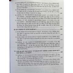 Sách - Bộ Luật Lao Động - Mẫu Hợp Đồng Lao Động - Chế Độ Chính Sách Tiền Lương, Tiền Thưởng
