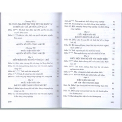 Sách - Luật Sở Hữu Trí Tuệ ( Hiện Hành ) ( Sửa Đổi, Bổ Sung Năm 2009, 2019, 2022)