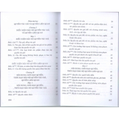 Sách - Luật Sở Hữu Trí Tuệ ( Hiện Hành ) ( Sửa Đổi, Bổ Sung Năm 2009, 2019, 2022)