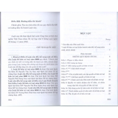 Sách - Luật Sở Hữu Trí Tuệ ( Hiện Hành ) ( Sửa Đổi, Bổ Sung Năm 2009, 2019, 2022, 2025)