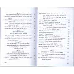 Sách - Luật Sở Hữu Trí Tuệ ( Hiện Hành ) ( Sửa Đổi, Bổ Sung Năm 2009, 2019, 2022, 2025)