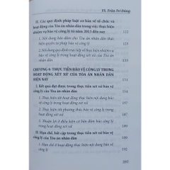 Sách - Bảo Vệ Công Lý Trong Hoạt Động Xét Xử Của Tòa Án Nhân Dân Ở Việt Nam Hiện Nay