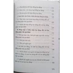 Sách - Pháp luật về lao động giúp việc gia đình ở Việt Nam