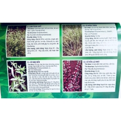 Sách - Tuyển Chọn Các Bài Thuốc Nam Chữa Bệnh Theo Mùa, Các Bệnh Hậu Covid