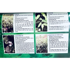 Sách - Tuyển Chọn Các Bài Thuốc Nam Chữa Bệnh Theo Mùa, Các Bệnh Hậu Covid
