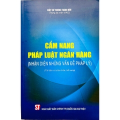 Sách - Cẩm Nang Pháp Luật Ngân Hàng (Nhận Diện Những Vấn Đề Pháp Lý)