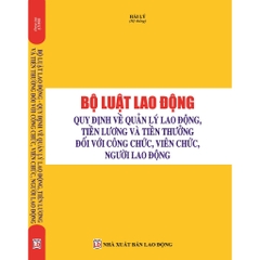 Sách - Bộ Luật Lao Động - Quy Định Mới Về Quản Lý Lao Động, Tiền Lương Và Tiền Thưởng Đối Với Công Chức, Người Lao Động
