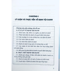 Sách - Định Tội Danh Và Quyết Định Hình Phạt