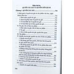 Sách - Quyền Sở Hữu Trí Tuệ, Bảo Vệ Và Chuyển Giao