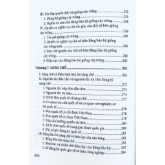 Sách - Quyền Sở Hữu Trí Tuệ, Bảo Vệ Và Chuyển Giao