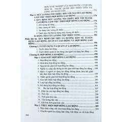 Sách - Bộ Luật Lao Động Và Hệ Thống Thang Bảng Lương, Phụ Cấp, Chế Độ Tiền Lương, Tiền Thưởng Đối Với Người Hưởng Lương