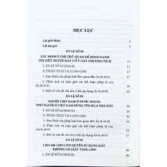 Sách - Án Lệ Việt Nam - Phân Tích Và Luận Giải (Từ Án Lệ Số 1 Đến Án Lệ Số 43)