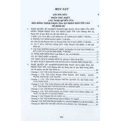 Sách - Các Nghị quyết của Hội đồng Thẩm phán Tòa án nhân dân tối cao về hình sự và tố tụng hình sự từ năm 1986 đến 2024