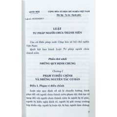 Sách - Luật Tư Pháp Người Chưa Thành Niên Năm 2024 (NXB CTQGST)