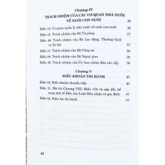 Sách - Luật Nuôi Con Nuôi Năm 2010
