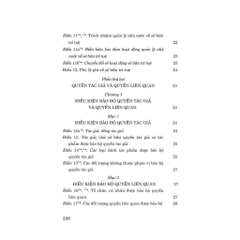 Sách - Luật Sở Hữu Trí Tuệ Năm 2005 (Sửa Đổi, Bổ Sung Năm 2009, 2019, 2022, 2025) (NXB Sự Thât)