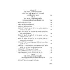 Sách - Luật Sở Hữu Trí Tuệ Năm 2005 (Sửa Đổi, Bổ Sung Năm 2009, 2019, 2022, 2025) (NXB Sự Thât)