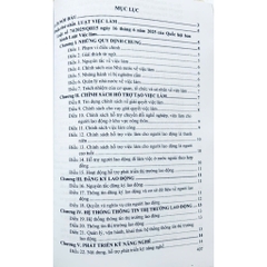 Sách Luật Việc Làm - Hệ Thống Văn Bản Quy Định Chi Tiết Thi Hành