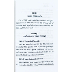 Sách - Luật Nuôi Con Nuôi Năm 2010