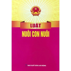 Sách - Luật Nuôi Con Nuôi Năm 2010