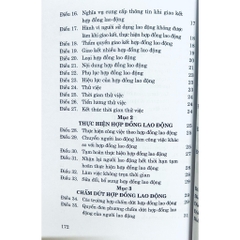 Sách - Bộ Luật Lao Động (Hiện Hành)