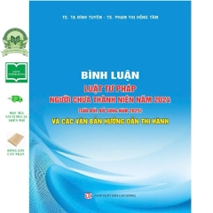 Sách Bình Luận Luật Tư Pháp Người Chưa Thành Niên Năm 2024 (SĐ, BS Năm 2025) Và Các Văn Bản Hướng Dẫn Thi Hành