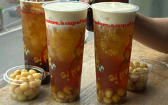 Ly PP 700ml bao nhiêu 1 thùng? Giá sỉ và địa chỉ mua uy tín