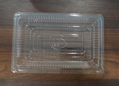 Hộp nhựa PET C55 Tiến Đức