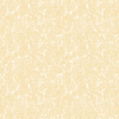 Gạch lát Mikado 50x50 VS5516