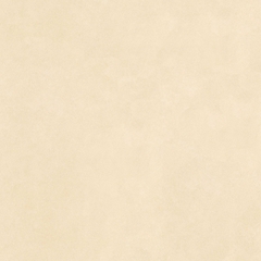Gạch Prime 100x100cm 21312