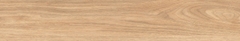 Gạch Prime 20x120cm 17E13