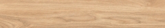 Gạch Prime 20x120cm 17E13
