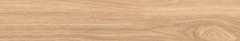 Gạch Prime 20x120cm 17E13