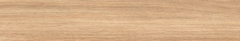 Gạch Prime 20x120cm 17E13