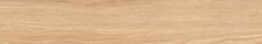Gạch Prime 20x120cm 17E13