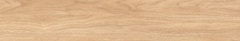 Gạch Prime 20x120cm 17E13