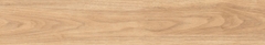 Gạch Prime 20x120cm 17E13