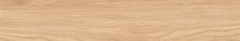 Gạch Prime 20x120cm 17E13