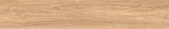 Gạch Prime 20x120cm 17E13