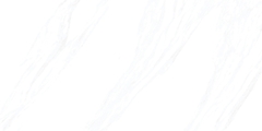 Gạch Prime 30x60cm 09411